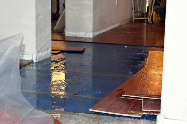 Professional Sewage Cleanup technician working in Long Bottom, OH